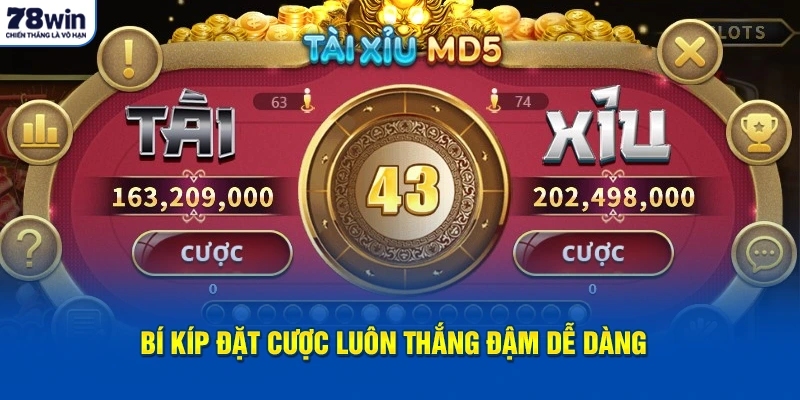 Bí kíp đặt cược luôn thắng đậm dễ dàng